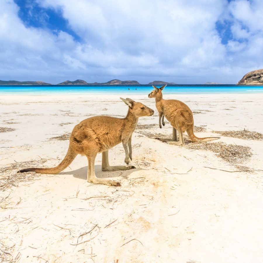 Lucky Bay